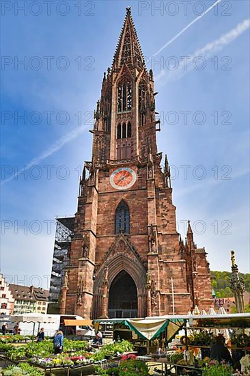 Freiburg