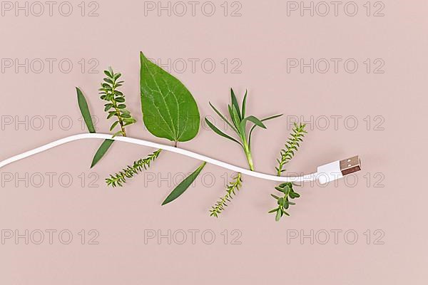 Renewable Energy concept with USB power cord with natural leaves