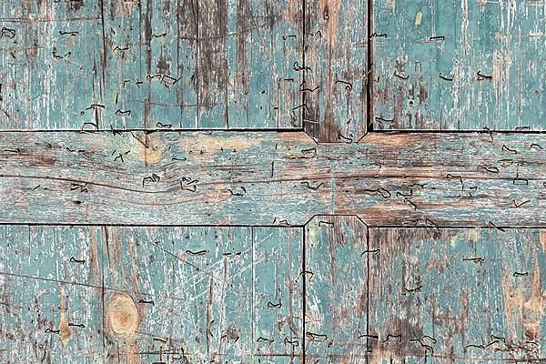 Old wood texture background with teal colored chipped paint and staples