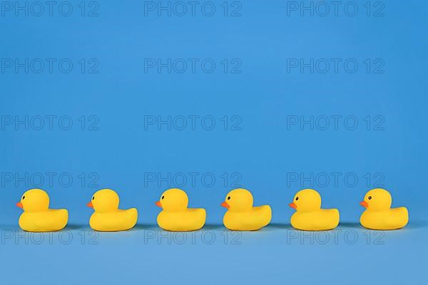 Yellow rubber ducks in a row on blue background with copy space