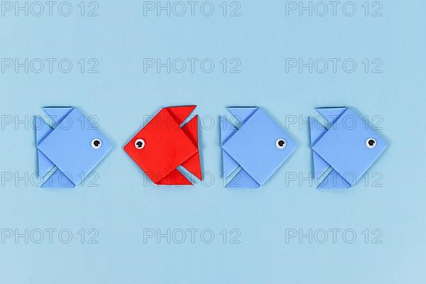 Red paper fish swimming swimming against the current in opposite direction of blue fish