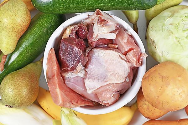 Top view of healthy dog food bowl filled with raw beef and chicken meat and salmon fish surrounded by vegetables