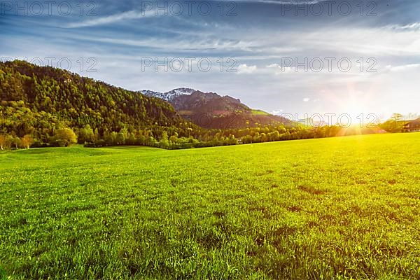 Patoral field meadow in Bavarian Alps. Bavaria