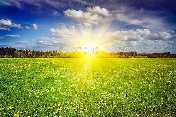 Summer meadow on sunset with blu sky and sun rays. With lens flare and light leak