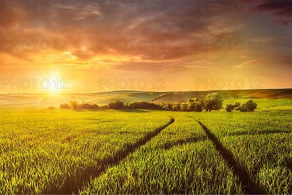 Beuatiful sunset in fields of Moravia