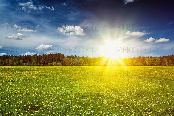 Summer meadow on sunset with blu sky and sun rays. With lens flare and light leak