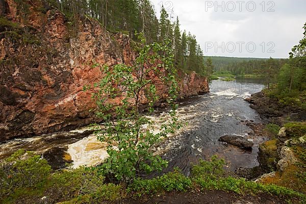 Kiutakoengaes Rapids in Oulanka National Park