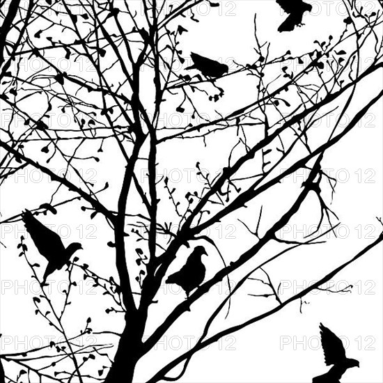 Background illustration with pigeons silhouettes in the trees