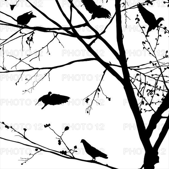 Background illustration with pigeons silhouettes in the trees