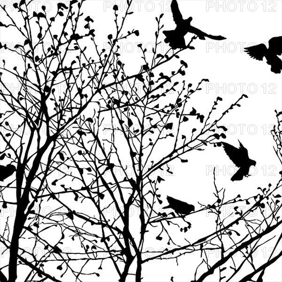 Background illustration with pigeons silhouettes in the trees