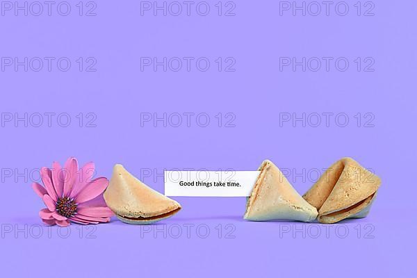 Motivational text 'Good things take time' next to fortune cookie and flower on purple background