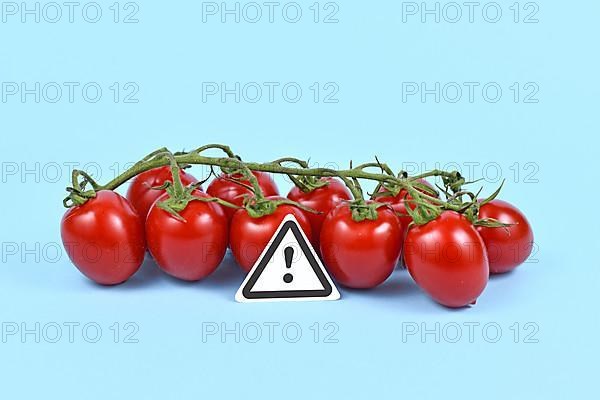 Concept for unhealthy or toxic substances in food like pesticide residues or allergies with warning sign in front of tomatoes on blue background