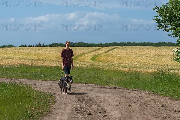 Boy walking his Border Collie