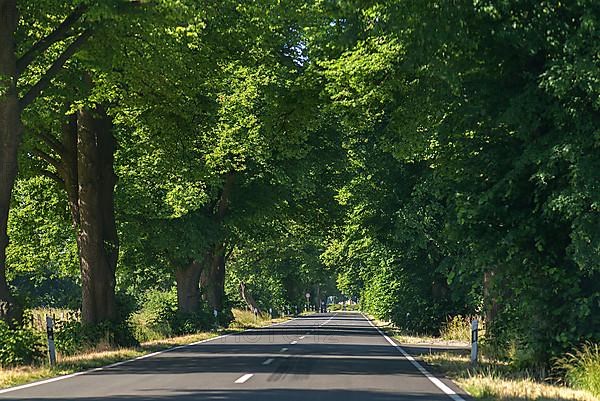 Linden avenue on a federal road B 104