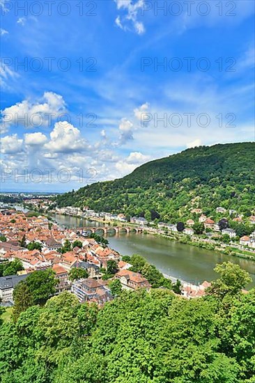 View over Neckar river