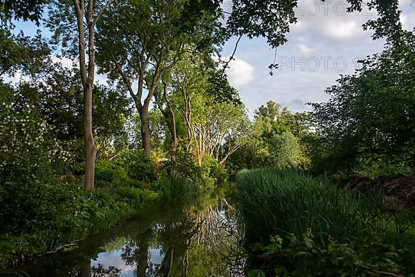 Canal at Schellingwouderdijk