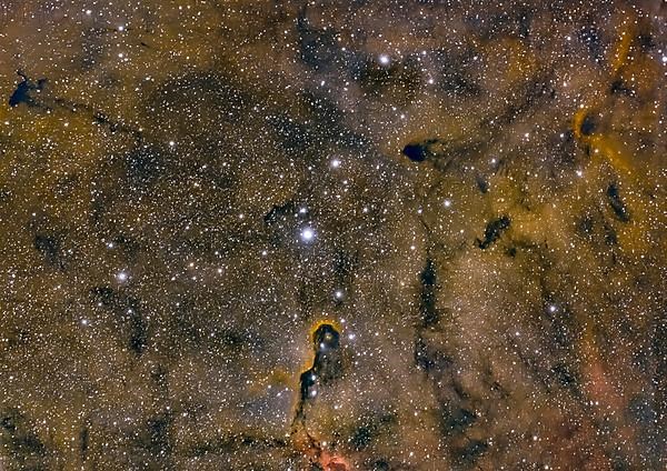 False colour image with Elephant Trunk Nebula