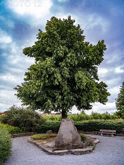 Stone under a tree at a centre point of Germany