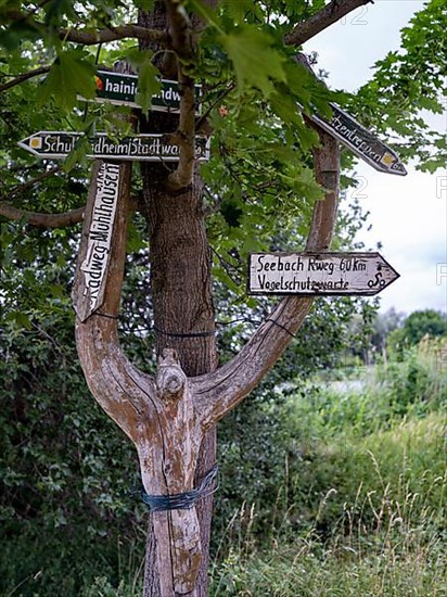 Signpost on a tree near the Hainich nature reserve