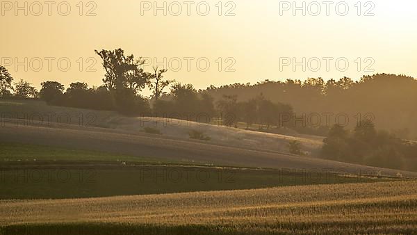 Morning atmosphere in the Weinviertel