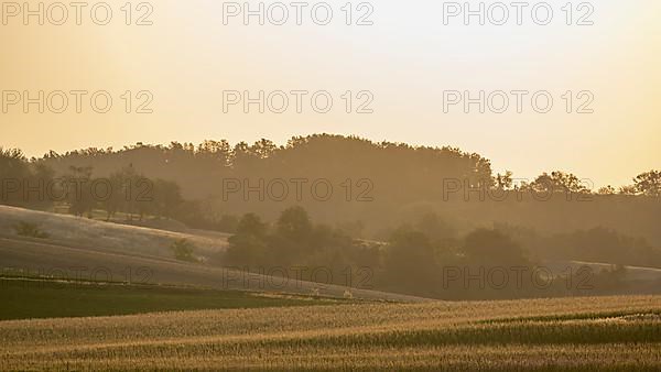 Morning atmosphere in the Weinviertel