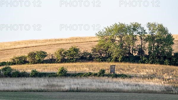 Morning atmosphere in the Weinviertel