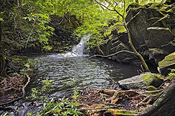 Waterfall near the "Rio-Negro Hot-Springs" at Hacienda-Guachipelin