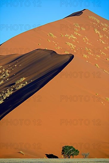 Huge sand dunes in the last evening light