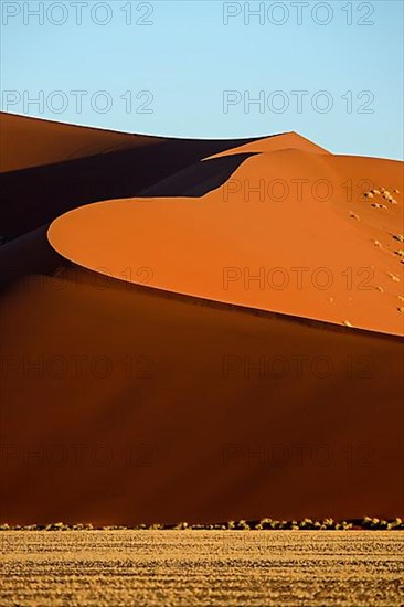 Huge sand dunes in the last evening light
