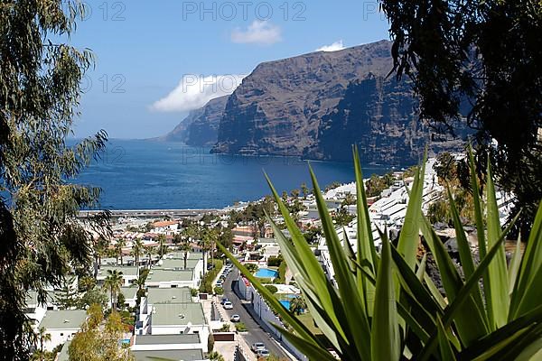 Los Gigantes