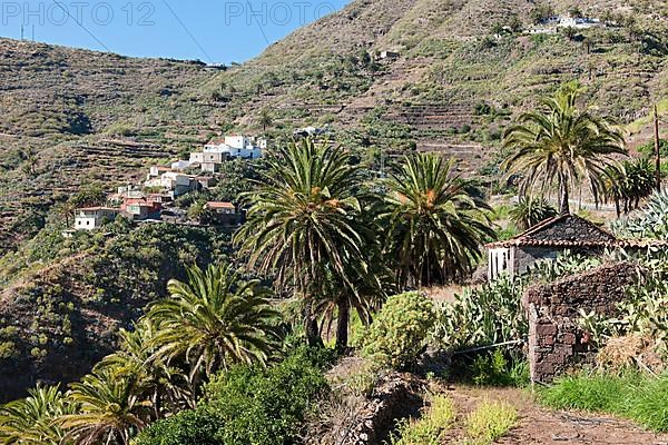 Village on mountainside of Masca Valley