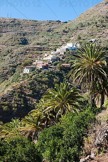 Village on mountainside of Masca Valley