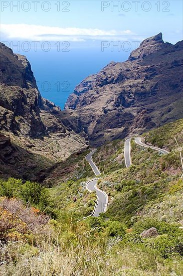 Masca Valley Serpentine Road