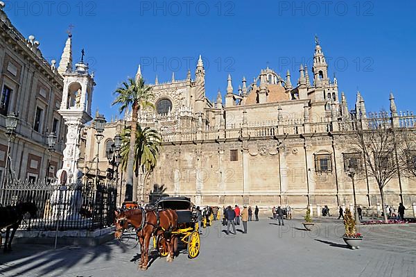 Horse and carriage