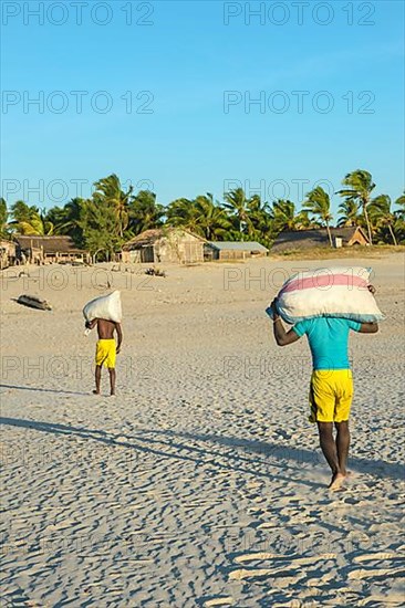 Malagasy fishermen collect dried fish on the beach