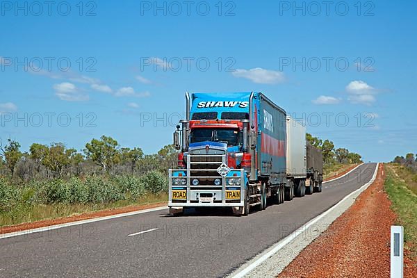 Freight transport with triple road train with roo bar on the Stewart Highway