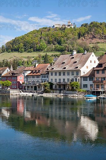 Rhine bank