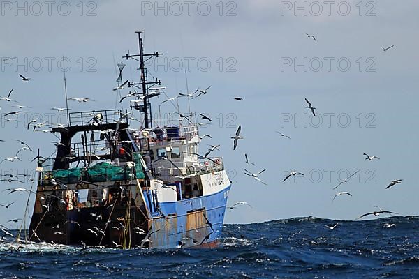 Deep-sea trawler being followed by seabirds at sea