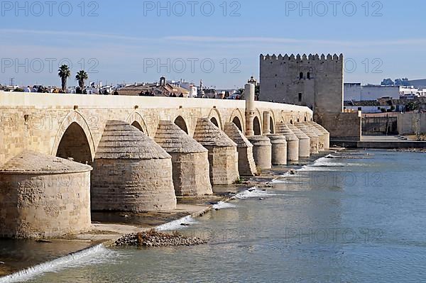 Puente Romano