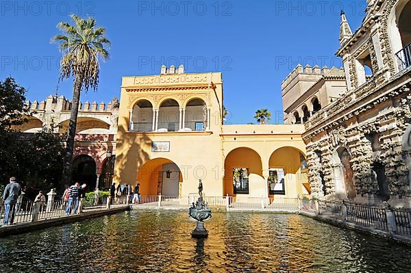 Mercurio Pond