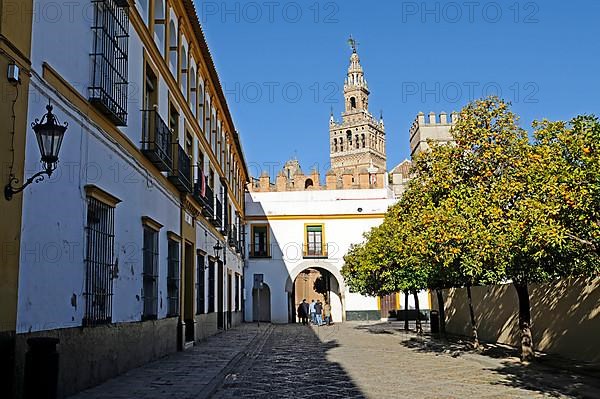 Patio de Banderas