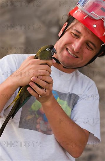 Small rock parakeet