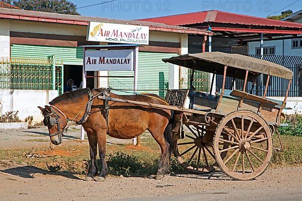 Horse with cart waiting outside Air Mandalay's Heho Airport