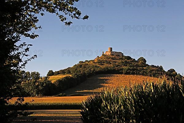 Desenberg Castle Ruin