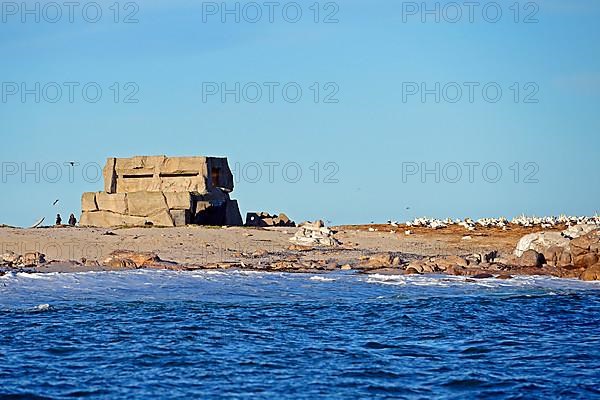 Bird Island Observatory