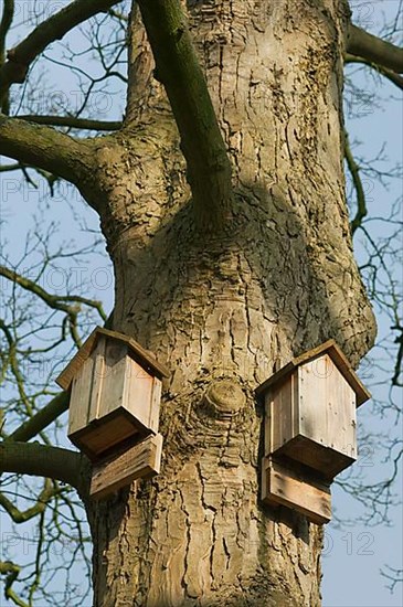 Bat boxes