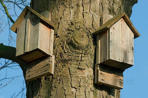 Bat boxes