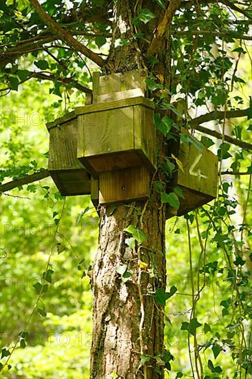 Bat boxes