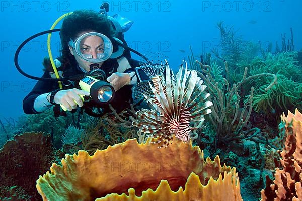 Diver and lionfish Isla pacific red lionfish