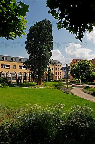 School garden